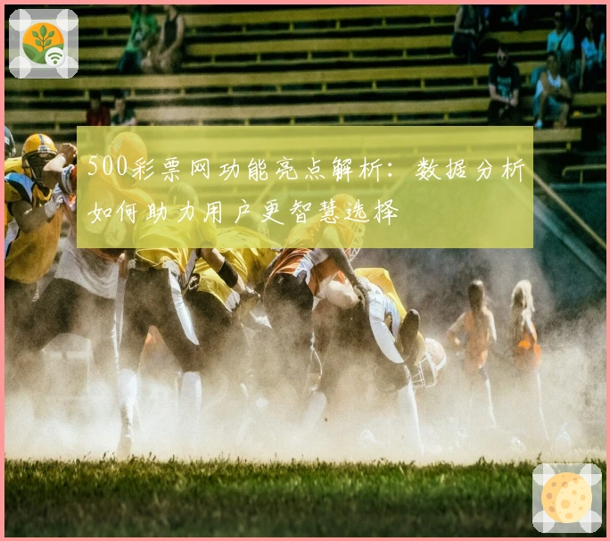 500彩票网功能亮点解析：数据分析如何助力用户更智慧选择