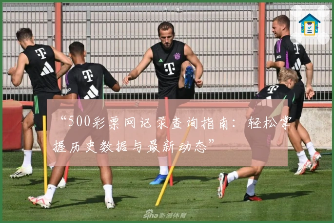 “500彩票网记录查询指南：轻松掌握历史数据与最新动态”